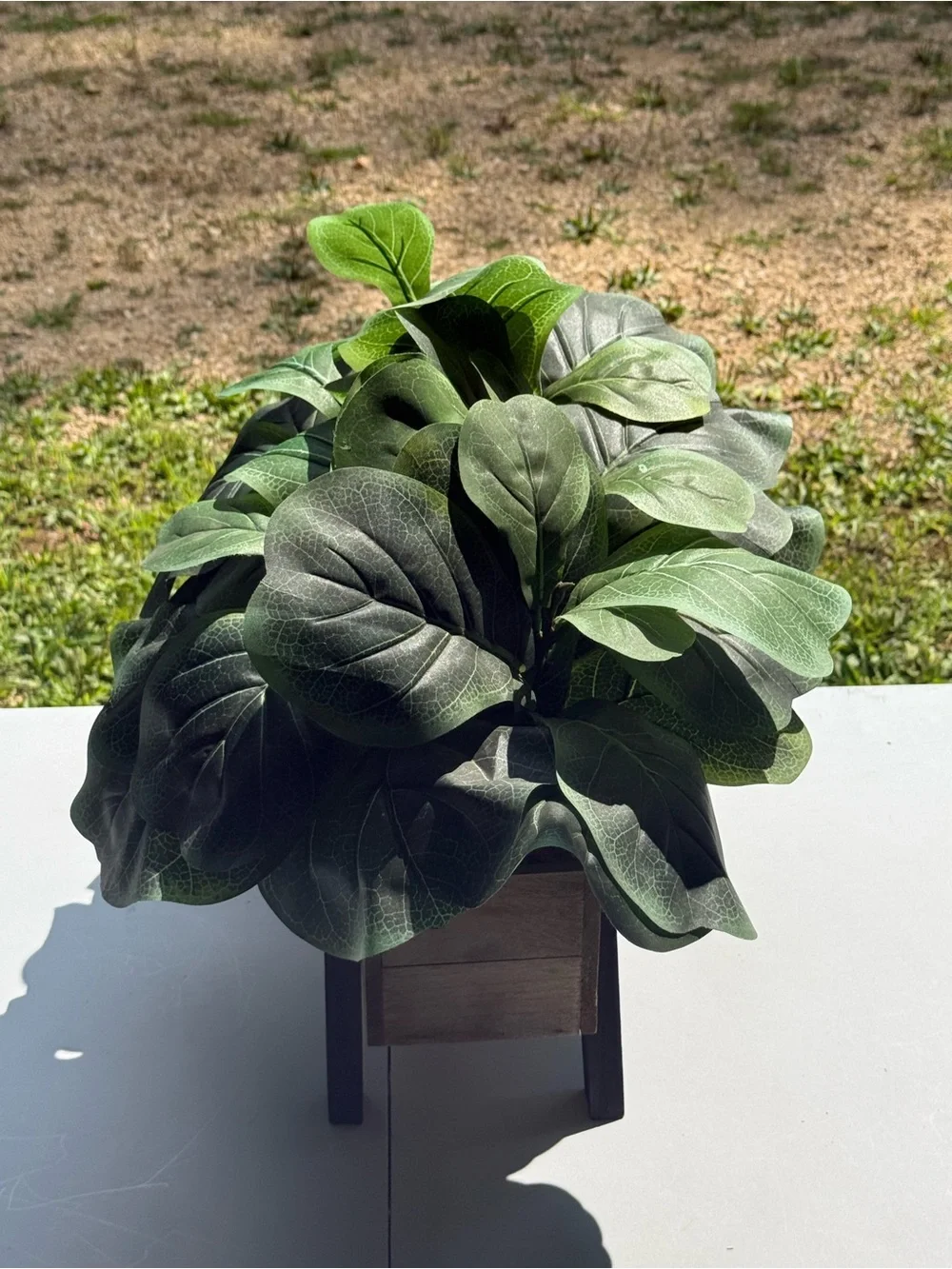 Decorative plant box full bushel of leaves